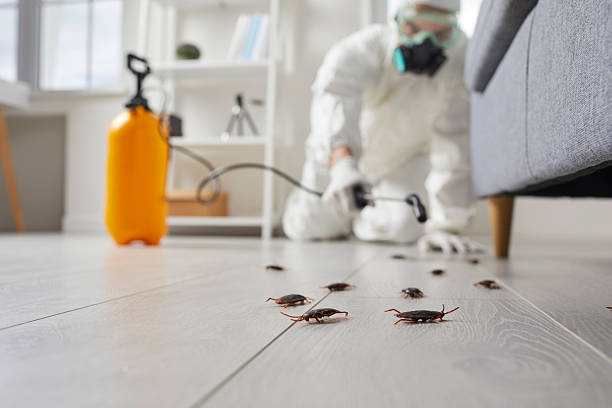 Post-Treatment Bed Bug Interceptor Monitoring in Russiaville